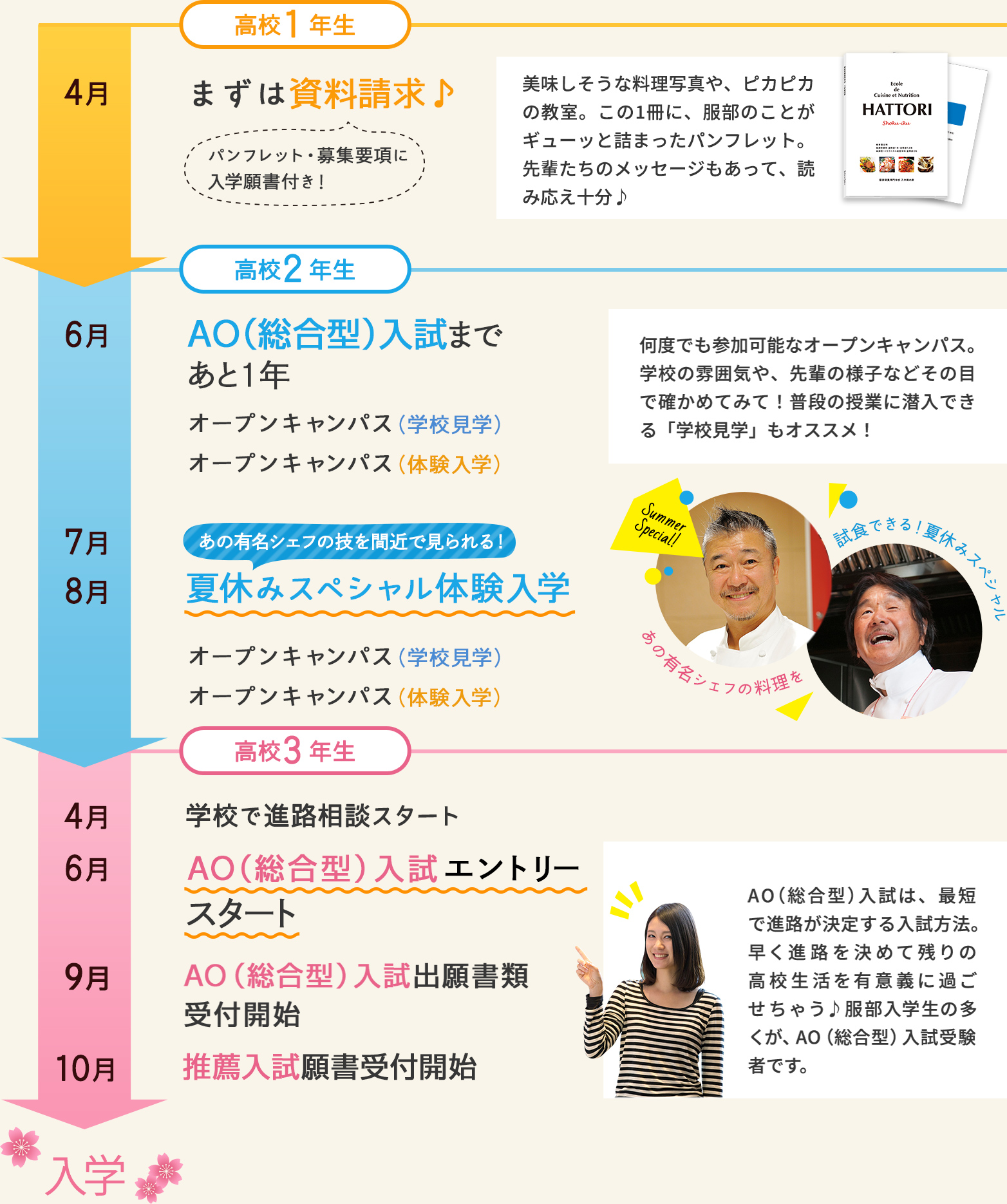 進路決定までの道のりの図