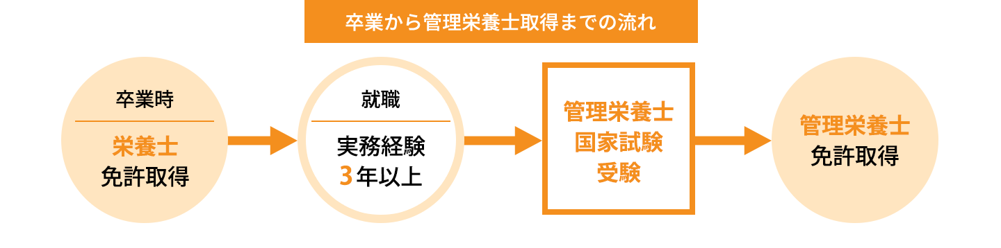 卒業から管理栄養士取得までの流れ