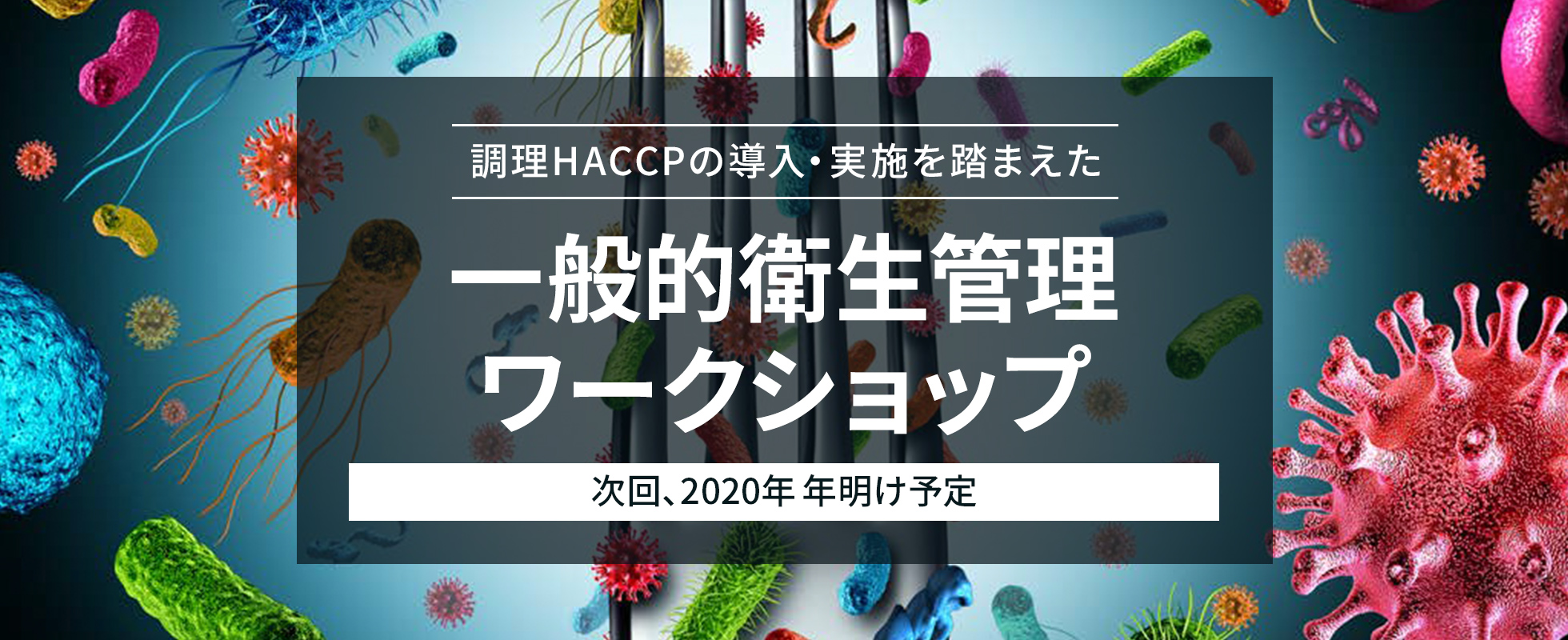 調理HACCPの導入・実施を踏まえた一般的衛生管理ワークショップ　次回、2020年年明け予定